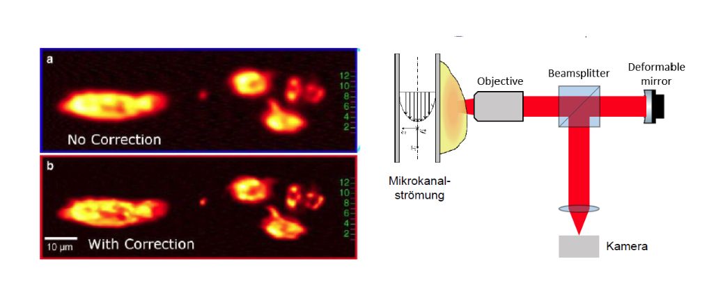 Adaptive 3D-Mikroskopie